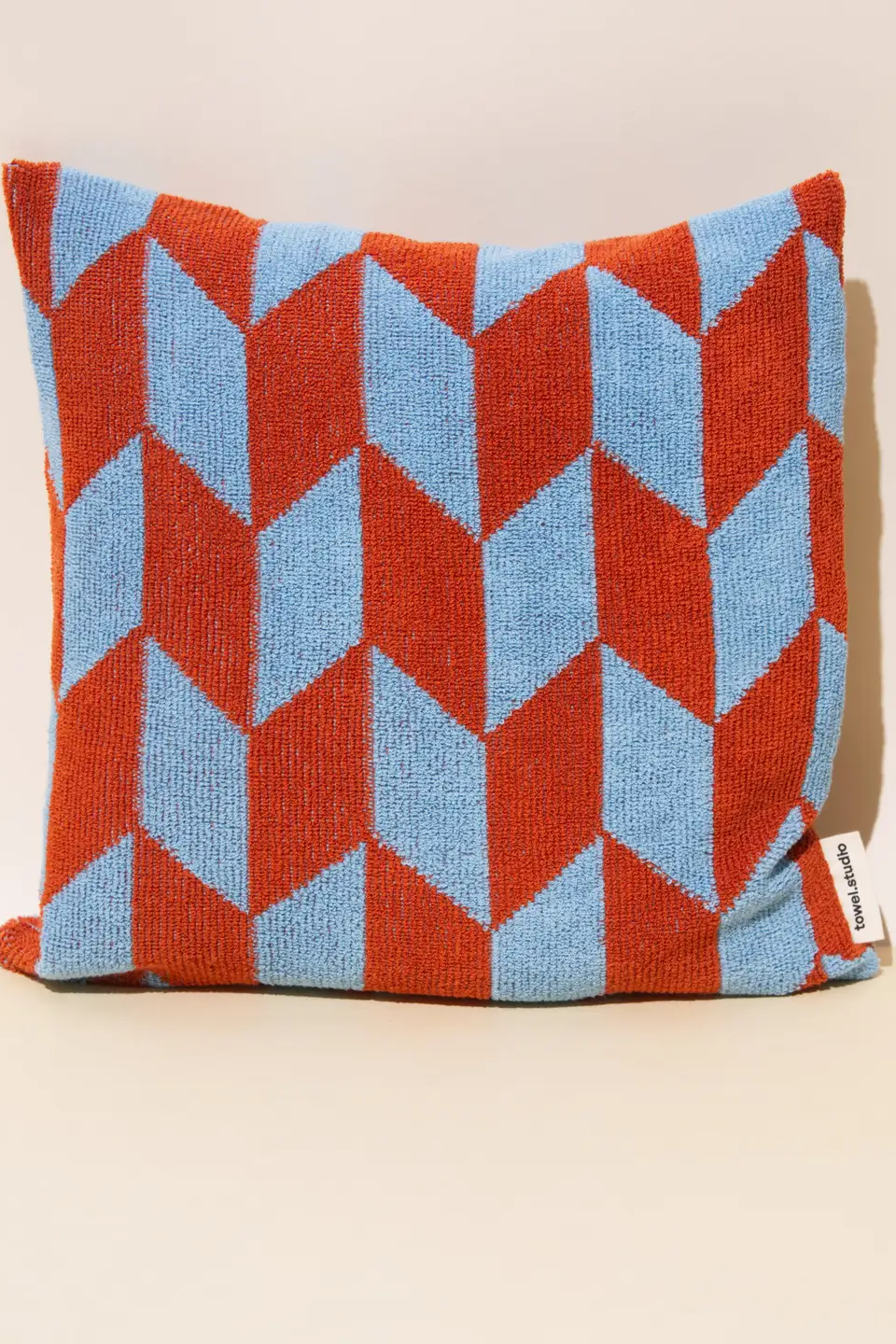 Arrow Tail Throw Pillow | Sky & Brick towel.studio