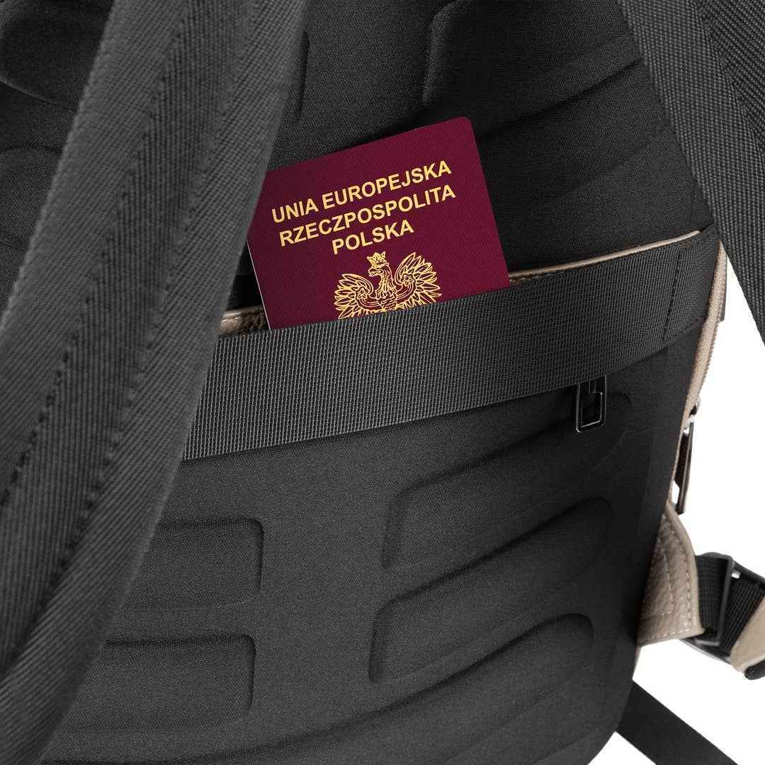 City Backpack: Greige James Hawk