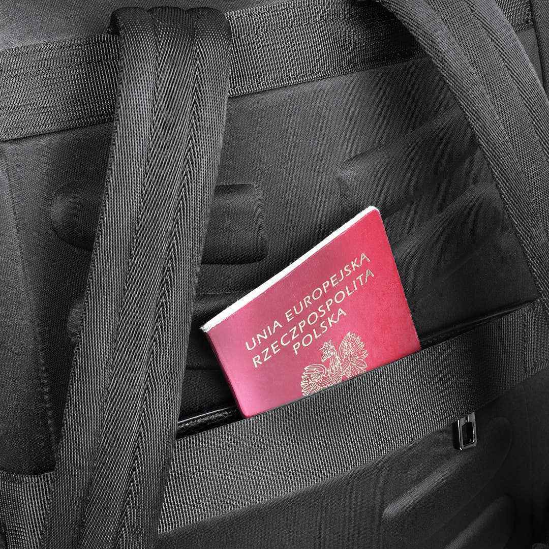 City Backpack: Black James Hawk