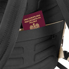 City Backpack: Beige James Hawk