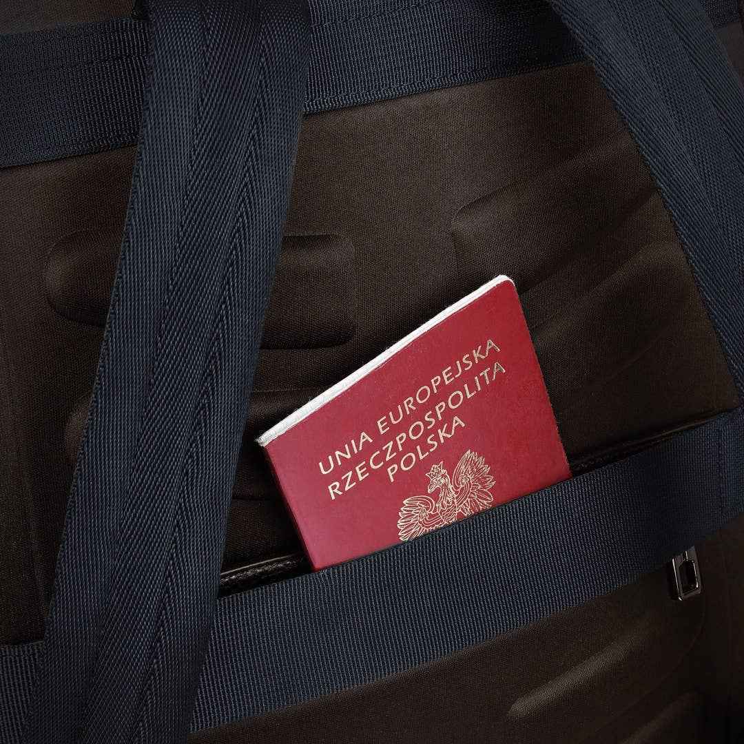 City Backpack: Brown James Hawk